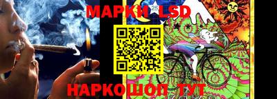 гидропоника Аша