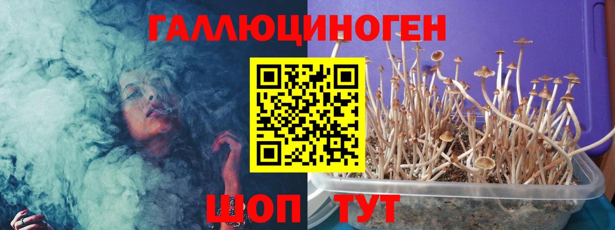 Галлюциногенные грибы Magic Shrooms Горячий Ключ