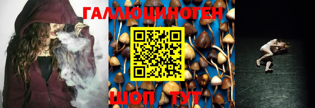 Галлюциногенные грибы мицелий  Вход с VPN  Горячий Ключ 